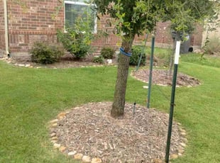 Caroline T.'s Flower Bed Weeding service result