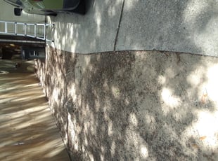 Leaf Removal by Randy Jordan for Saphet T. in Spring, TX