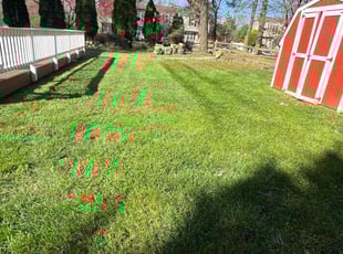 Daniel H.'s Yard Cutting service result