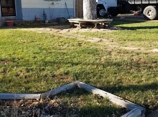 Leaf Removal by Philip Castle for Marie G. in Denver, CO