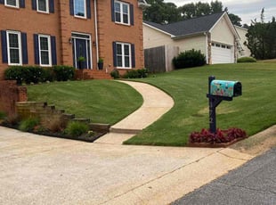 Tawanda L.'s Yard Cutting service result