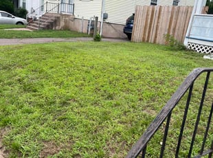 Darlene B.'s Lawn Care service result