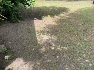 Cleanups by Herschell Bradley for Ryan L. in Tallahassee, FL