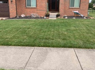 Mark F.'s Lawn Mowing Service service result