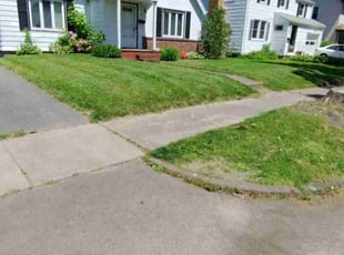 Roberta M.'s Lawn Service service result