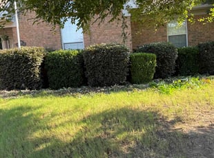 Bush Trimming by Kaacine Whipset for Valerie S. in Jacksonville, AR