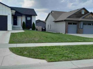 LaTanya R.'s Grass Cutting service result