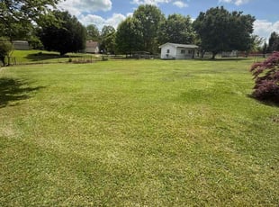 Vanessa H.'s Lawn Care service result