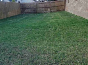 Scot M.'s Grass Cutting service result