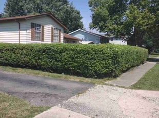 Bush Trimming by Daniel Bunch for Myla H. in Columbus, OH
