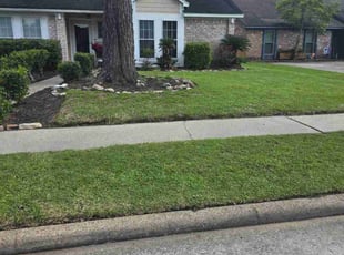 Claudia T.'s Lawn Service service result