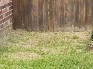 Cleanups by Joseph Murdock for Grace C. in Broken Arrow, OK