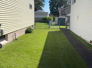 Sandeep S.'s Lawn Care service result