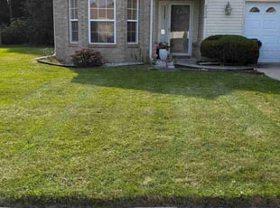 Kimberly T.'s Lawn Service service result