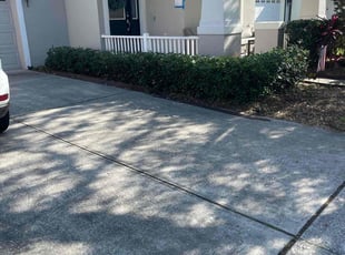 Bush Trimming by Ladarius Lathan for Lindsey L. in Windermere, FL