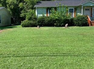 Elizabeth R.'s Lawn Service service result