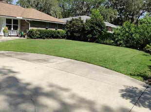 Mariana C.'s Lawn Service service result