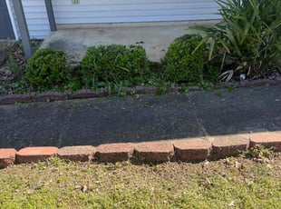 Bush Trimming by Derrick Withers for Clyde T. in Benton, AR