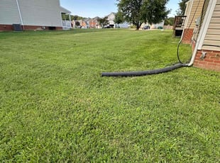 Malik R.'s Lawn Care service result