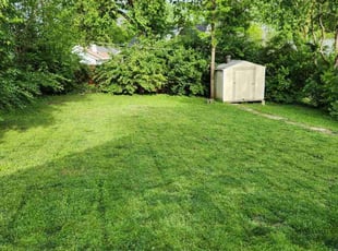 Dwaneise S.'s Lawn Mowing service result