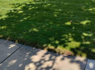 Andrea A.'s Grass Cutting service result