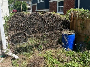 Bush Trimming by Sedrick Wesley for Lisa H. in Kansas City, MO