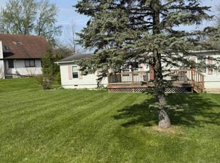 Mike B.'s Yard Cutting service result