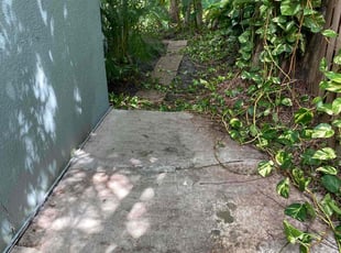 Nick C.'s Leaf Removal service result