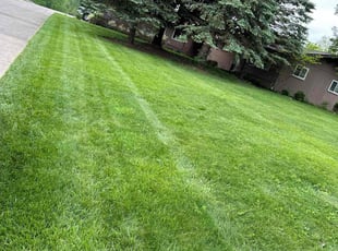 Thomas G.'s Lawn Mowing Service service result
