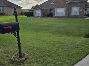 Jack J.'s Lawn Service service result