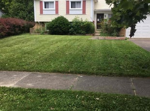 Gene E.'s Lawn Maintenance service result