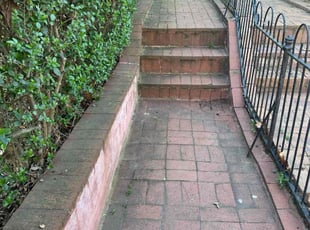 Bush Trimming by Edgar Elmore for Emily M. in Washington, DC