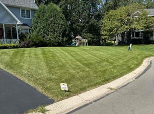 Andrew E.'s Lawn Service service result