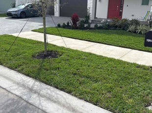 Saralee S.'s Lawn Maintenance service result