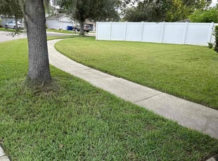 Paul T.'s Lawn Service service result