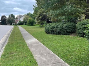 Julie E.'s Lawn Mowing service result