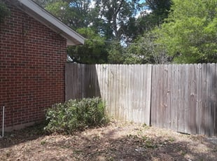 Bush Trimming by Robby Freedman for Felicia K. in Sanford, FL
