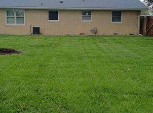 suzanne g.'s Lawn Mowing service result