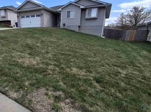Liz A.'s Lawn Mowing service result