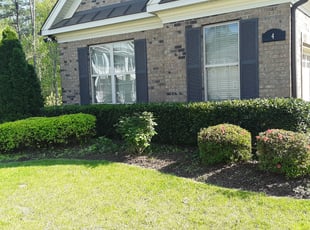 Bush Trimming by Justin Chrisp for Shamsul K. in Durham, NC
