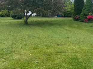 Yves I.'s Lawn Service service result