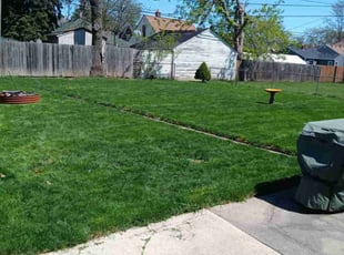 Susan S.'s Lawn Care service result