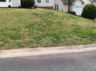 Leaf Removal by Derek and Leigh Robinson for Mary H. in Pineville, NC