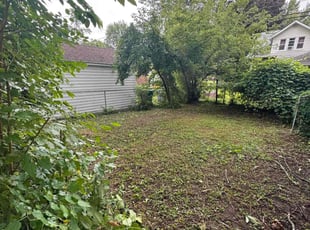 Bush Trimming by Vincent Nino for Kim H. in Redford Charter Township, MI