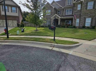Byron S.'s Grass Cutting service result