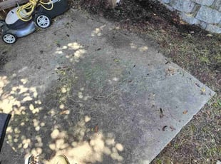 Leaf Removal by Juan Rodriguez for Arlene B. in Orangevale, CA