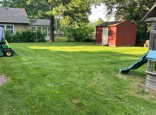 Steban G.'s Grass Cutting service result