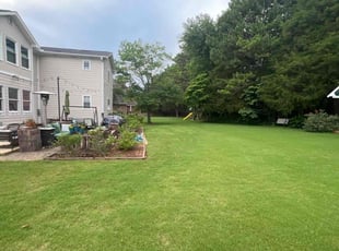 Kim S.'s Grass Cutting service result