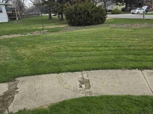 Janet D.'s Lawn Mowing service result