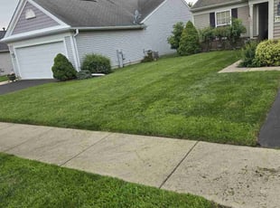 Sydney B.'s Lawn Mowing service result